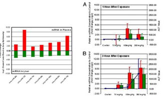 上海伯豪生物技術 SBC miRNA芯片服務促銷行動，專業實驗技術服務助您科研加速